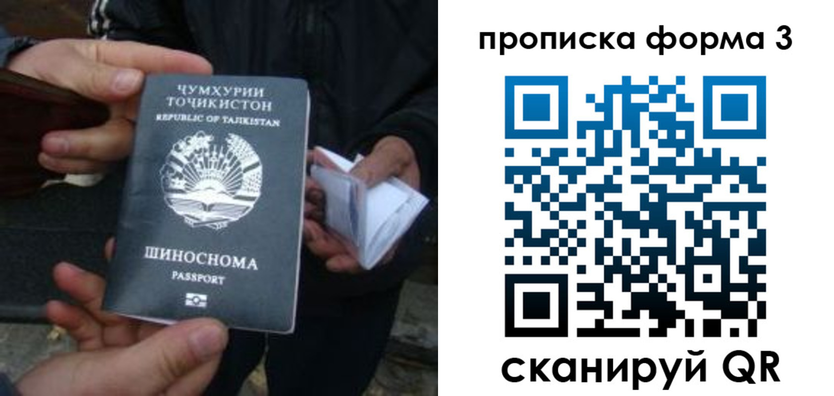прописка 2025 в Кингисеппе